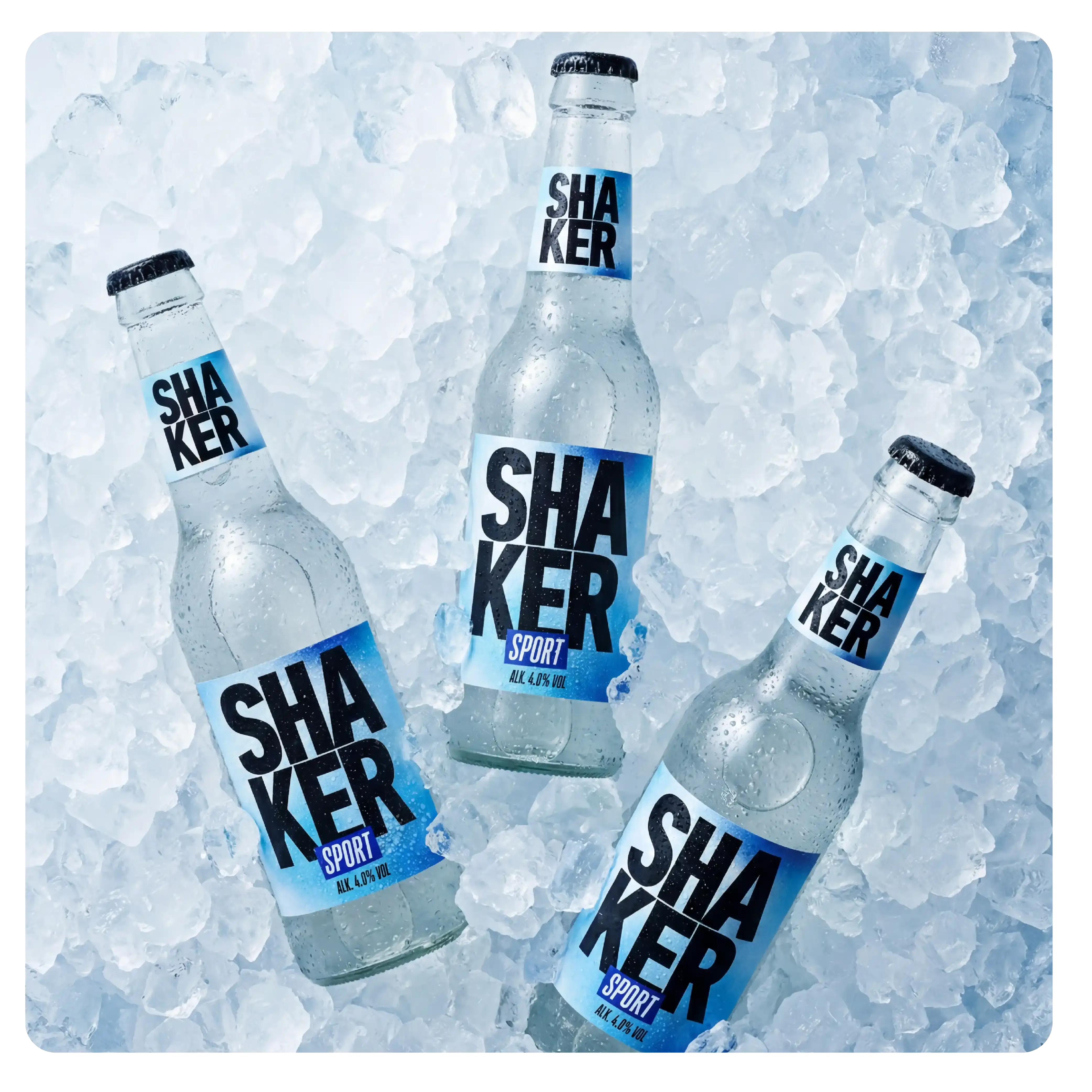 Shaker Is Royal Unibrew Kopier